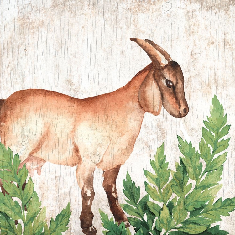 Picture of FARM ANIMALS 3