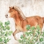 Picture of FARM ANIMALS 6