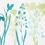 Picture of SPRING SILHOUETTE FLORAL 2