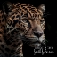 Picture of GREAT IS THY FAITHFULNESS LEOPARD BLACK