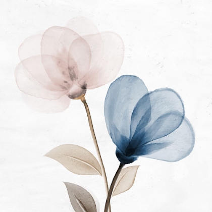Picture of DUST OPEN BLOOM 1