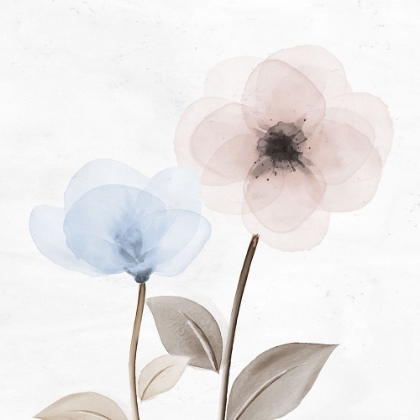 Picture of DUST OPEN BLOOM 2