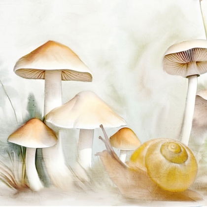 Picture of SNAIL CRAWL 2