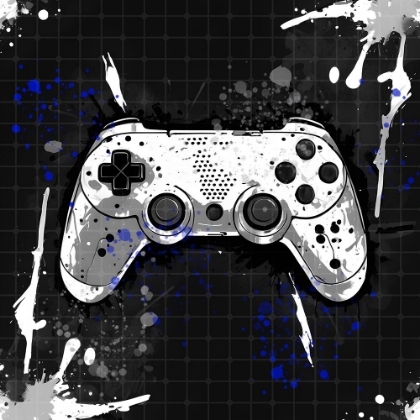Picture of BLACK AND WHITE GAMER 1