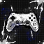 Picture of BLACK AND WHITE GAMER 1