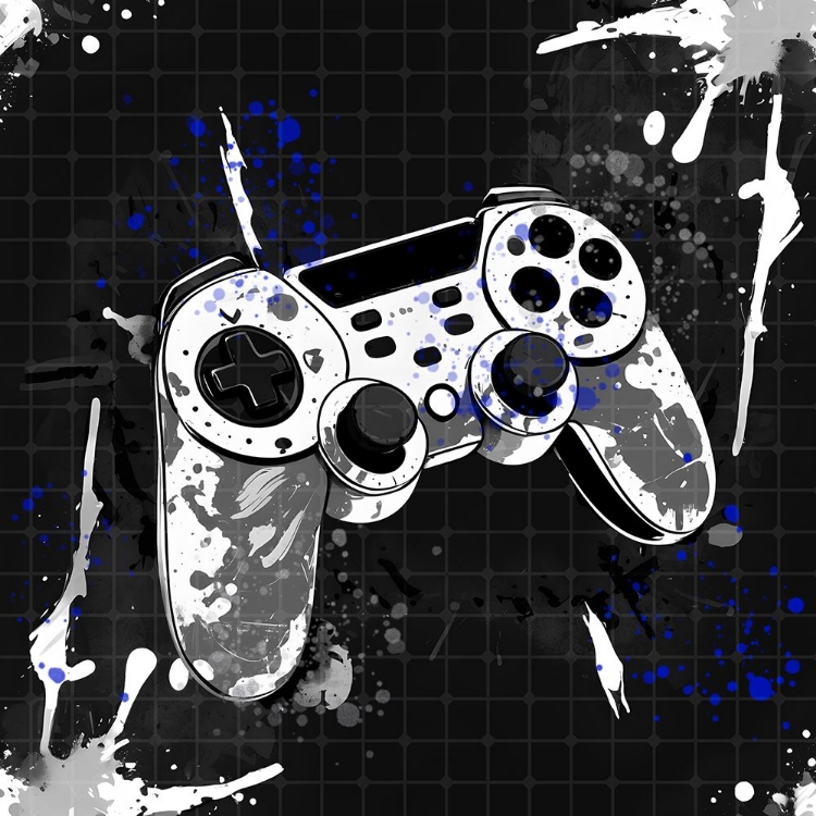 Picture of BLACK AND WHITE GAMER 2
