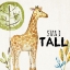 Picture of MY ZOO 1