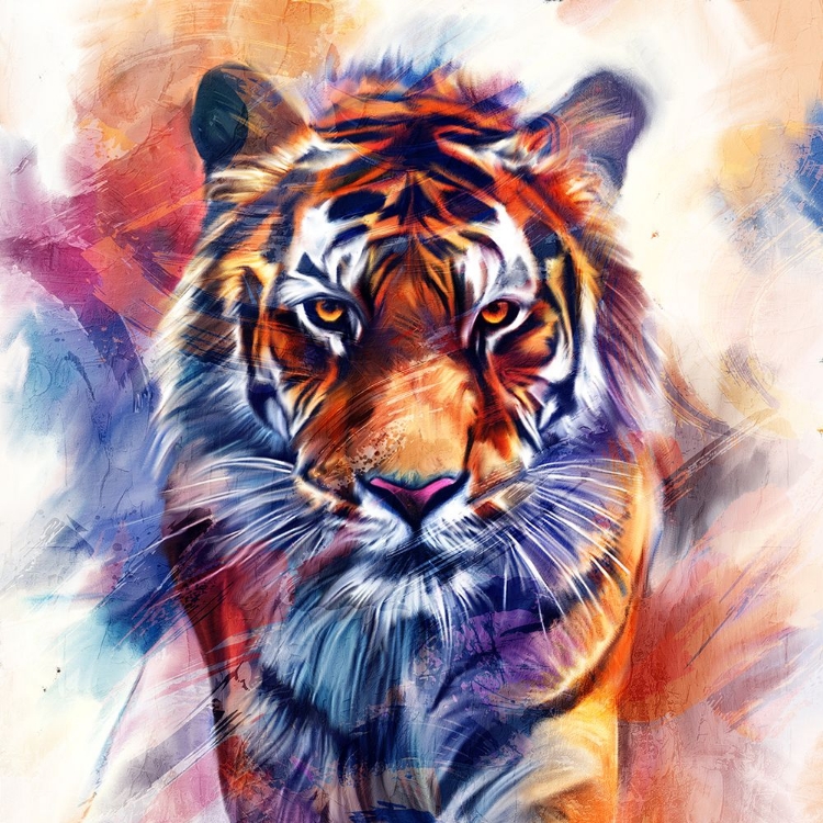 Picture of IN THE WILD 1