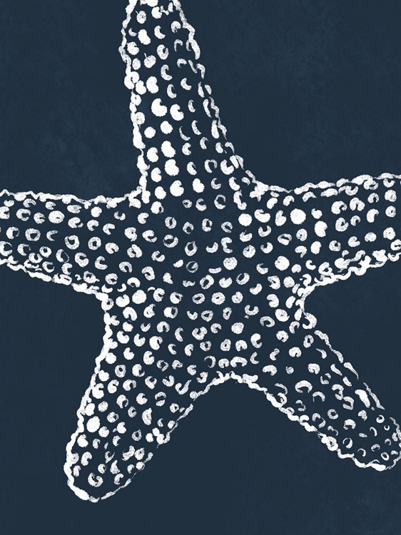 Picture of BLUE STARFISH