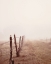 Picture of BEAUTIFUL MEADOW PATH WITH OLD FENCE