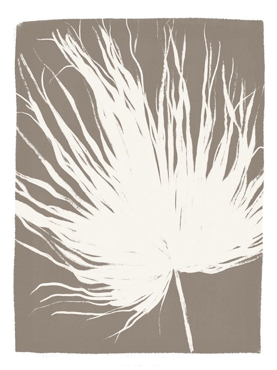 Picture of PALM LEAF 1