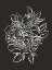Picture of HERE COMES THE BRIDE BLACK