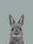 Picture of SAGE BUNNY