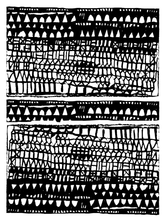 Picture of THE BLACK LINOS