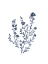 Picture of BLUE WILDFLOWERS 4
