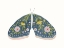 Picture of FLORAL MOTH 1