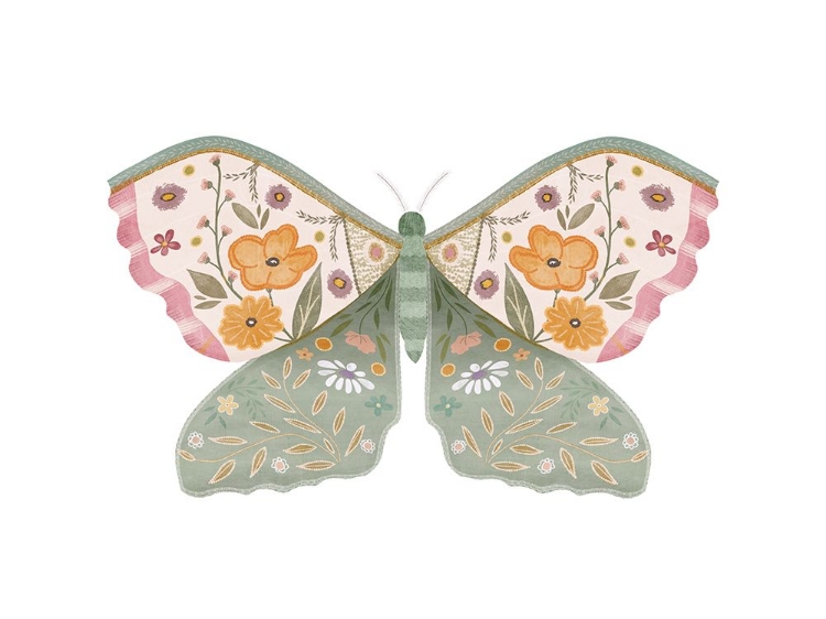 Picture of LOVELY MOTH