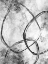Picture of NONSENSICAL NETWORK