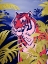 Picture of MAGICAL FELINE 1