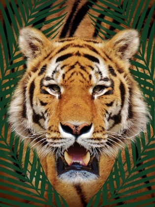 Picture of ROAMING WILD 1