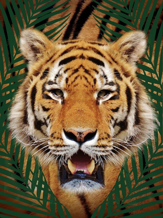 Picture of ROAMING WILD 1