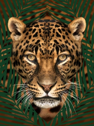 Picture of ROAMING WILD 2