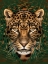 Picture of ROAMING WILD 2