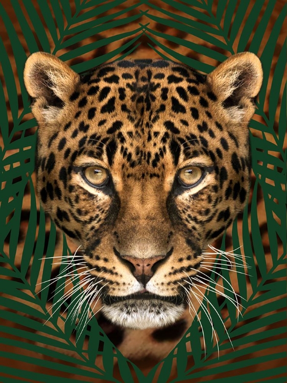 Picture of ROAMING WILD 2