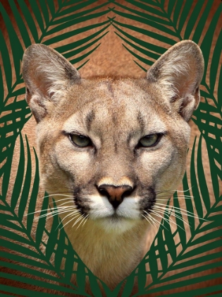 Picture of ROAMING WILD 3