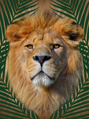 Picture of ROAMING WILD 4