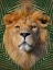 Picture of ROAMING WILD 4