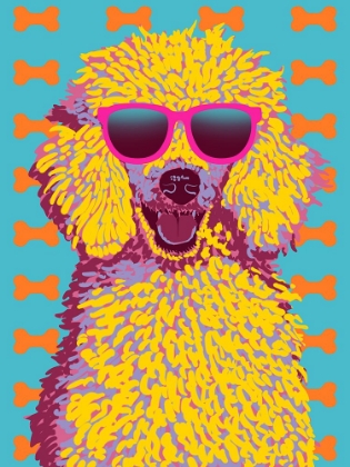 Picture of COLORFUL POODLE V2