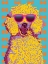 Picture of COLORFUL POODLE V2