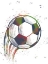 Picture of SPLATTER SOCCER BALL