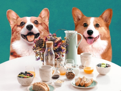 Picture of DOGGY BREAKFAST 1