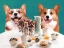 Picture of DOGGY BREAKFAST 1