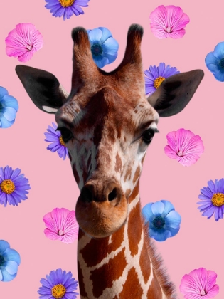 Picture of FLORAL SAFARI 2