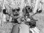 Picture of RIDING FRIENDS