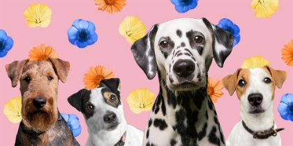 Picture of DOG FRIENDS 2