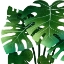 Picture of PERSEVERANCE 1