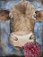 Picture of FARM ANIMAL COW 1
