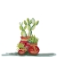 Picture of CACTI SET OF 3