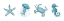 Picture of TEAL STARFISH SEAHORSE 2