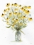 Picture of BLACKEYED SUSANS