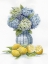 Picture of HYDRANGEA LEMONS 2