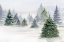 Picture of PINE TREES 3