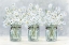 Picture of DAISIES IN JARS 1