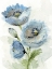 Picture of BLUE POPPY 2