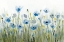 Picture of BLUE POPPY 3