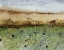 Picture of ABSTRACT VAST FIELD 1